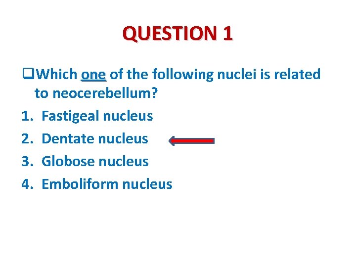 QUESTION 1 q. Which one of the following nuclei is related to neocerebellum? 1.