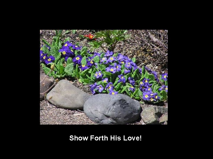 Show Forth His Love! 
