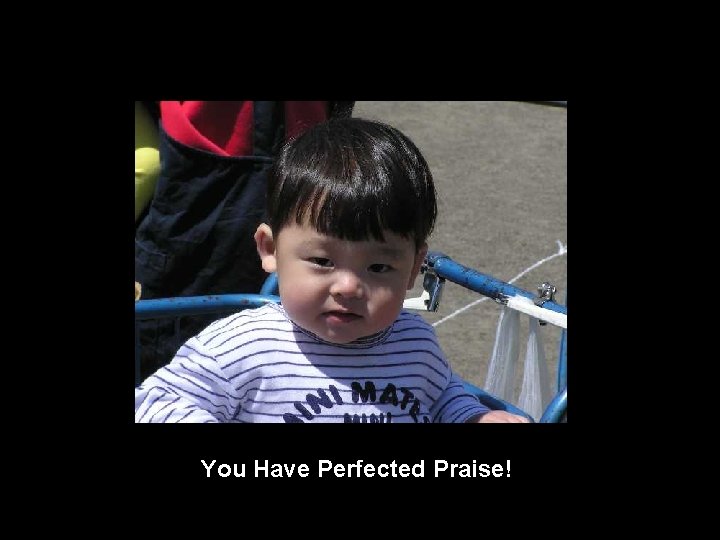 You Have Perfected Praise! 