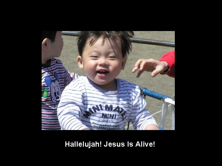 Hallelujah! Jesus Is Alive! 