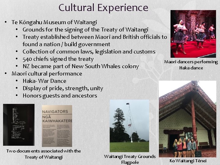 Cultural Experience • Te Kōngahu Museum of Waitangi • Grounds for the signing of