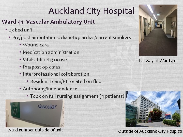 Auckland City Hospital Ward 41 - Vascular Ambulatory Unit • 23 bed unit •