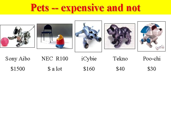 Pets -- expensive and not Sony Aibo NEC R 100 i. Cybie Tekno Poo-chi