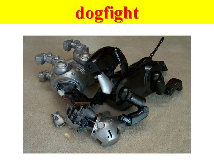 dogfight 
