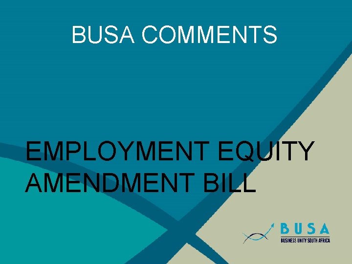 BUSA COMMENTS EMPLOYMENT EQUITY AMENDMENT BILL 