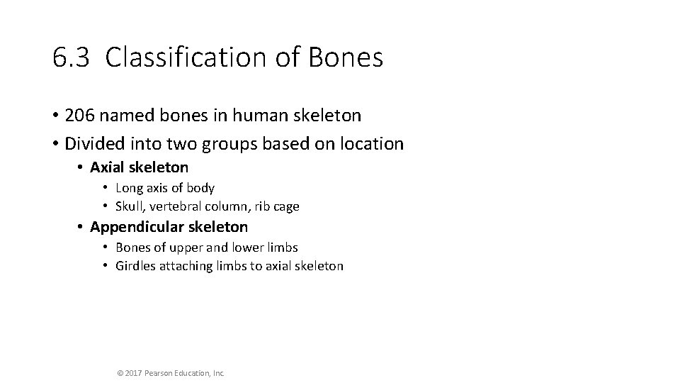 6. 3 Classification of Bones • 206 named bones in human skeleton • Divided