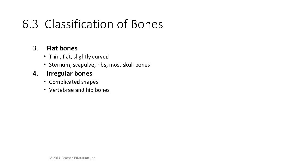 6. 3 Classification of Bones 3. Flat bones • Thin, flat, slightly curved •