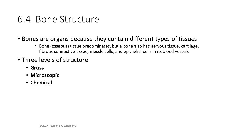 6. 4 Bone Structure • Bones are organs because they contain different types of