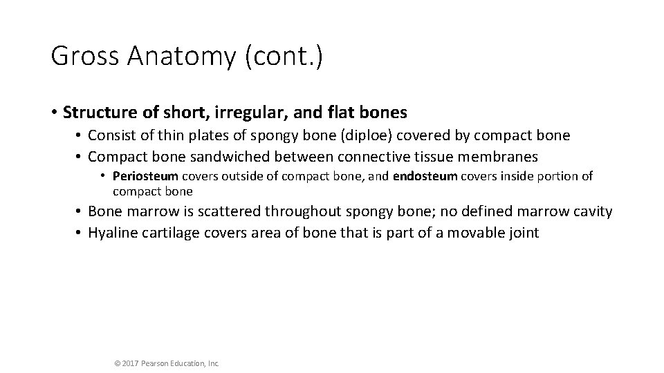 Gross Anatomy (cont. ) • Structure of short, irregular, and flat bones • Consist