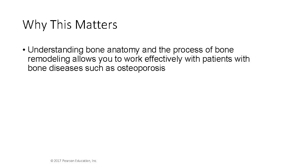 Why This Matters • Understanding bone anatomy and the process of bone remodeling allows