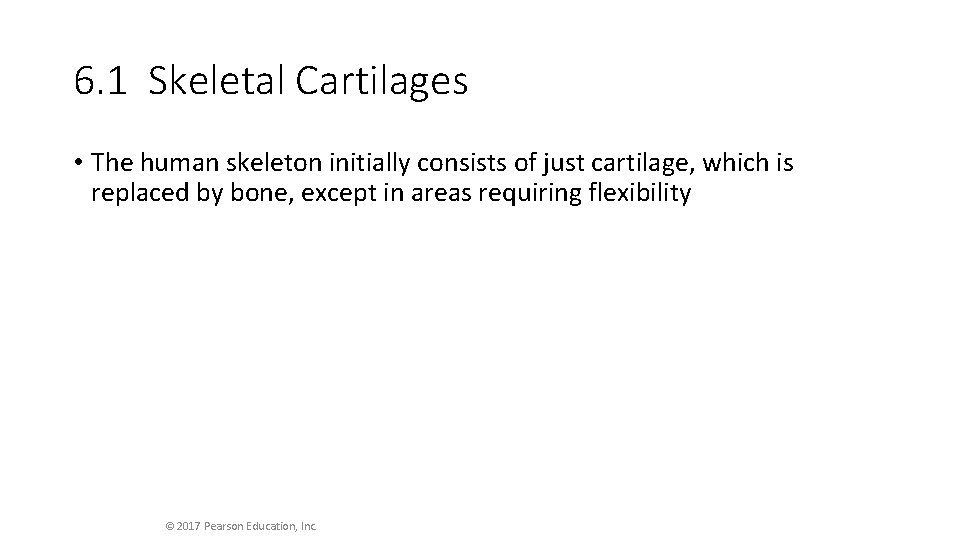 6. 1 Skeletal Cartilages • The human skeleton initially consists of just cartilage, which