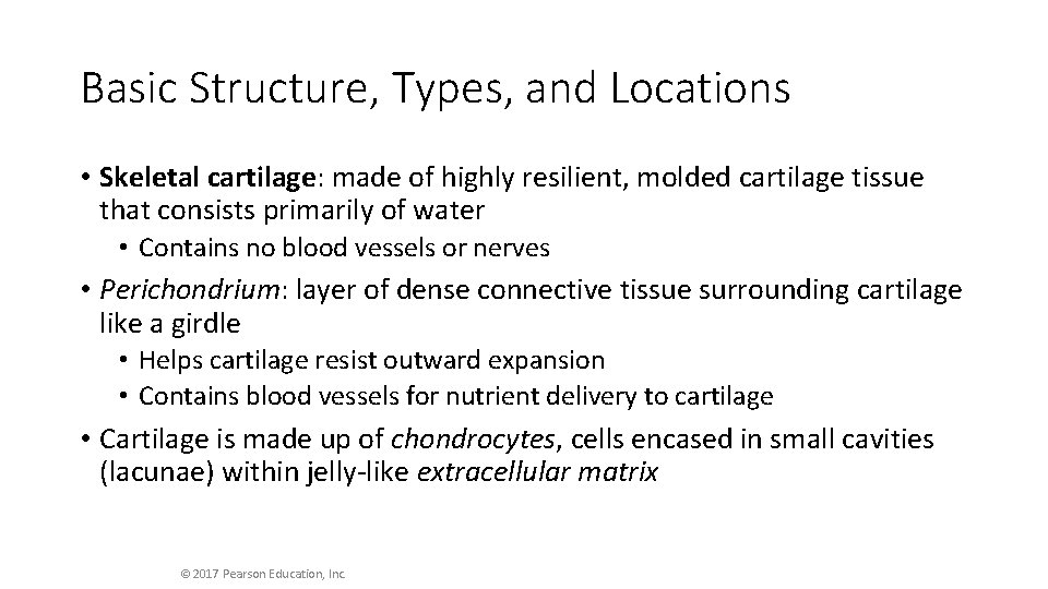 Basic Structure, Types, and Locations • Skeletal cartilage: made of highly resilient, molded cartilage