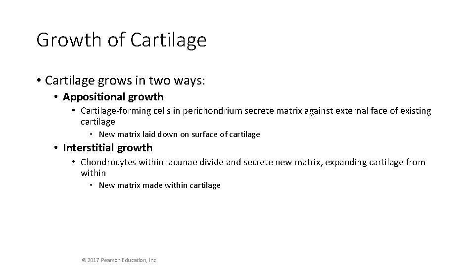 Growth of Cartilage • Cartilage grows in two ways: • Appositional growth • Cartilage-forming