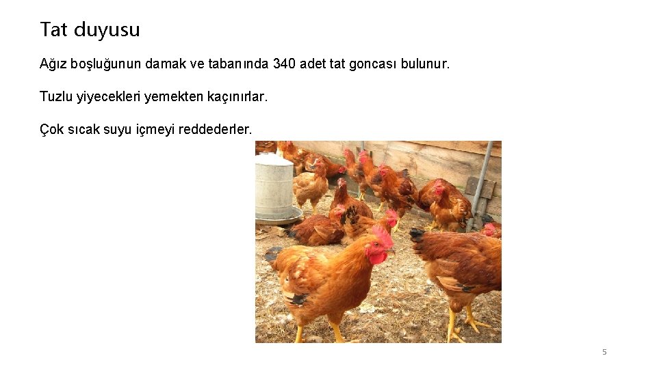 Tat duyusu Ağız boşluğunun damak ve tabanında 340 adet tat goncası bulunur. Tuzlu yiyecekleri