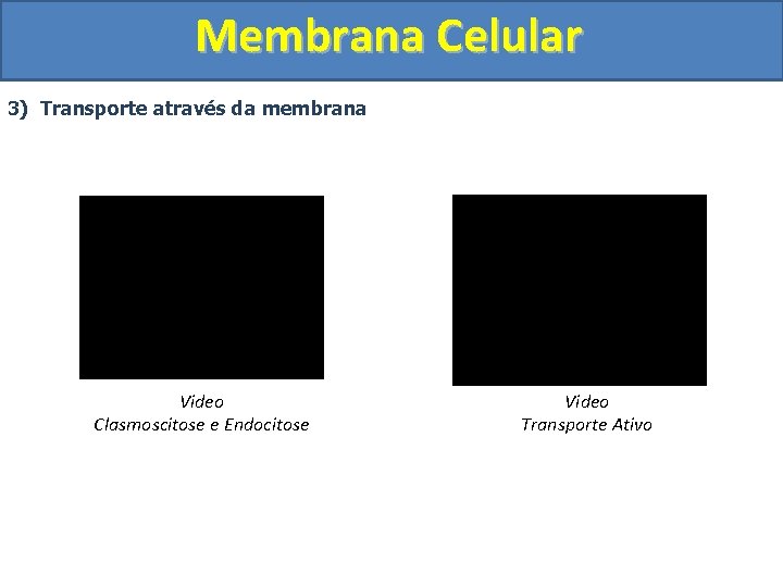 Membrana Celular 3) Transporte através da membrana Video Clasmoscitose e Endocitose Video Transporte Ativo