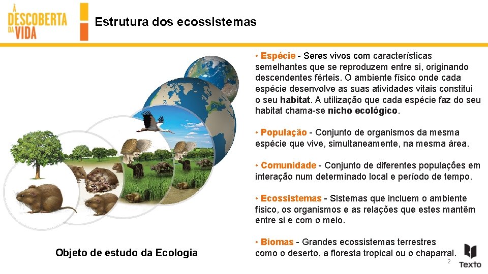 Interaes seres vivos ambiente Fatores abiticos Estrutura dos
