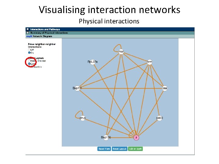 Visualising interaction networks Physical interactions 