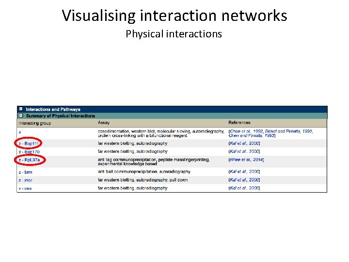 Visualising interaction networks Physical interactions 