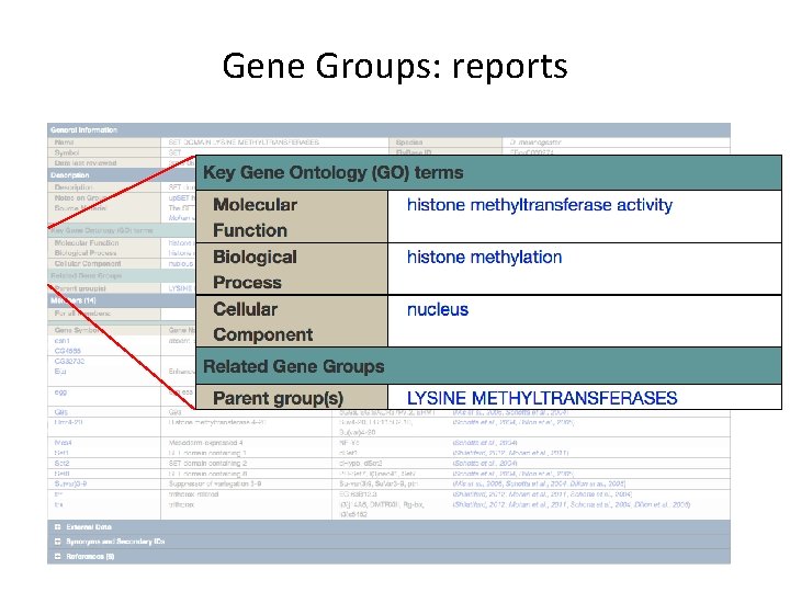 Gene Groups: reports 