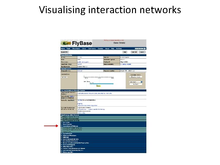 Visualising interaction networks 