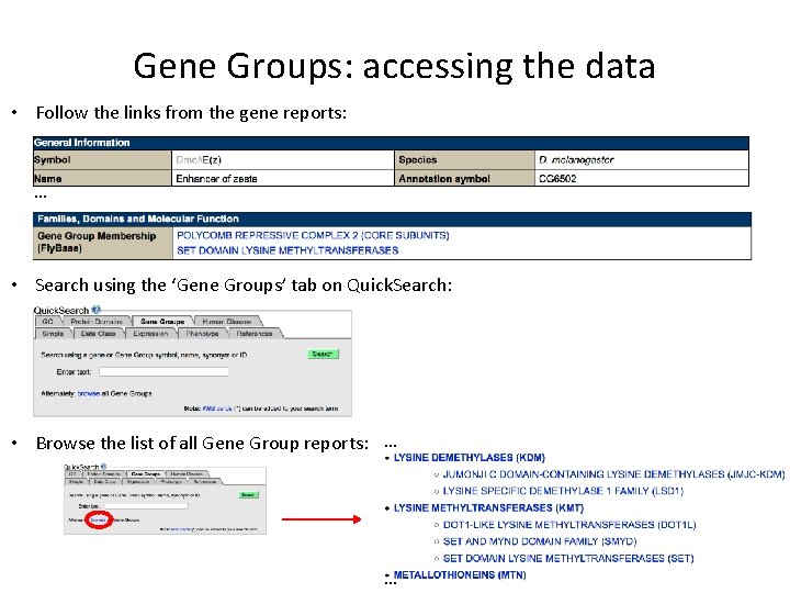 Gene Groups: accessing the data • Follow the links from the gene reports: …