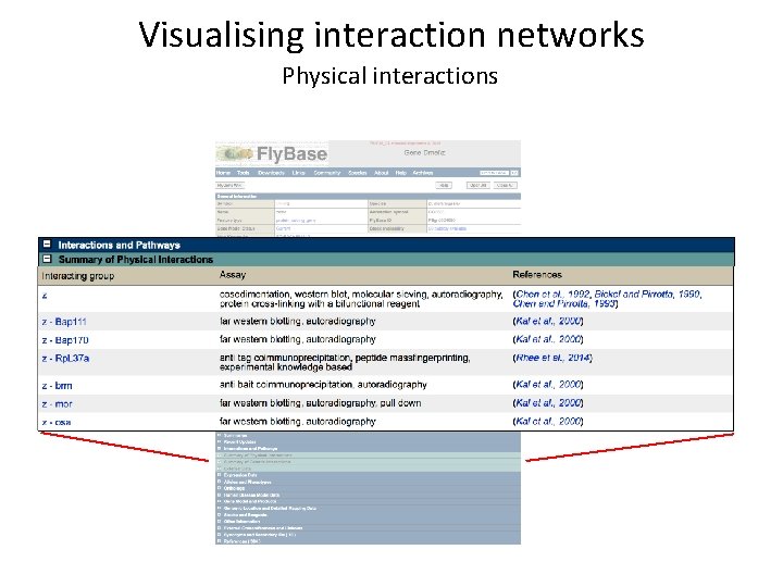 Visualising interaction networks Physical interactions 