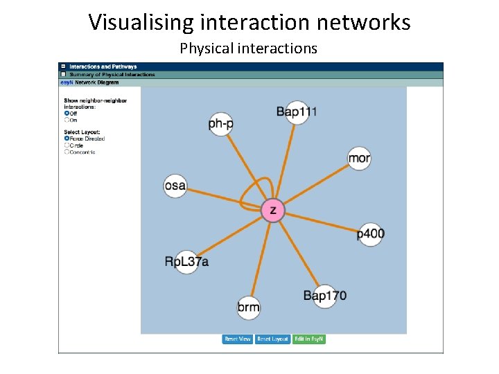 Visualising interaction networks Physical interactions 