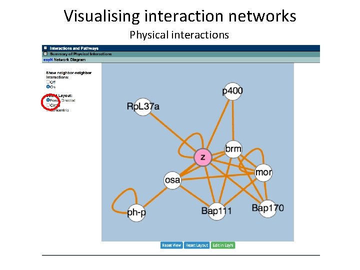 Visualising interaction networks Physical interactions 