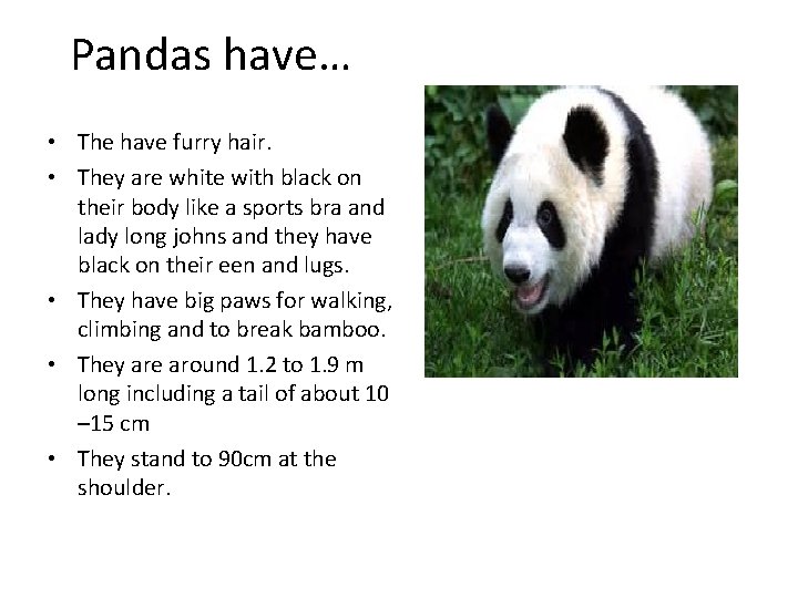 Pandas have… • The have furry hair. • They are white with black on