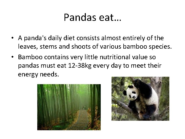 Pandas eat… • A panda's daily diet consists almost entirely of the leaves, stems
