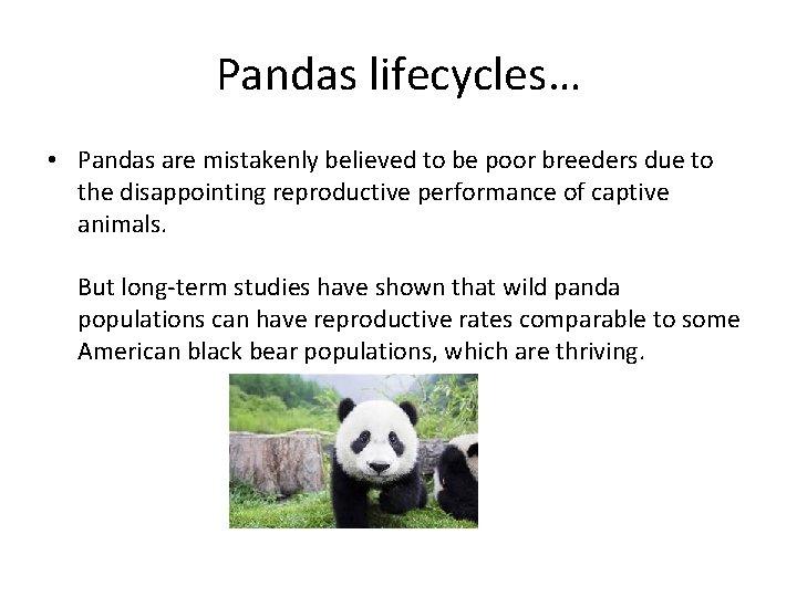 Pandas lifecycles… • Pandas are mistakenly believed to be poor breeders due to the