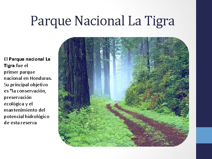 Parque Nacional La Tigra El Parque nacional La Tigra fue el primer parque nacional