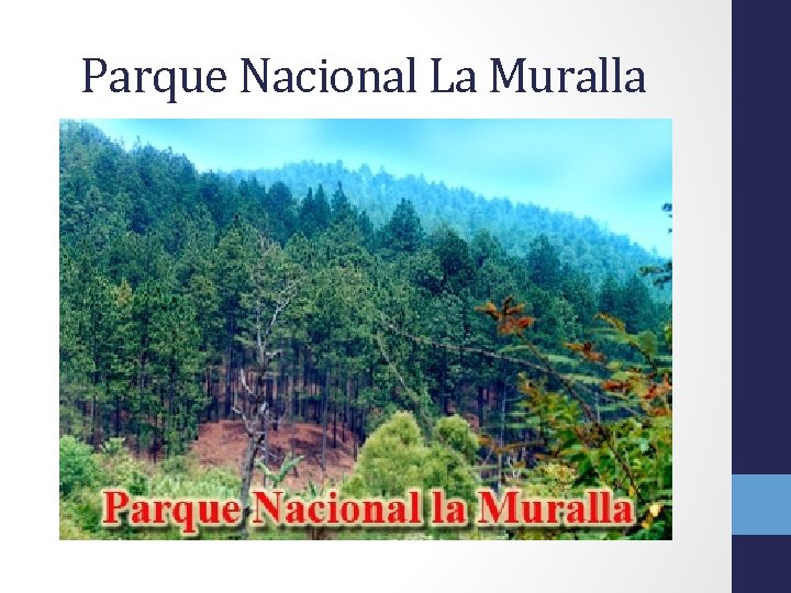 Parque Nacional La Muralla 