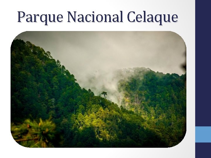 Parque Nacional Celaque 