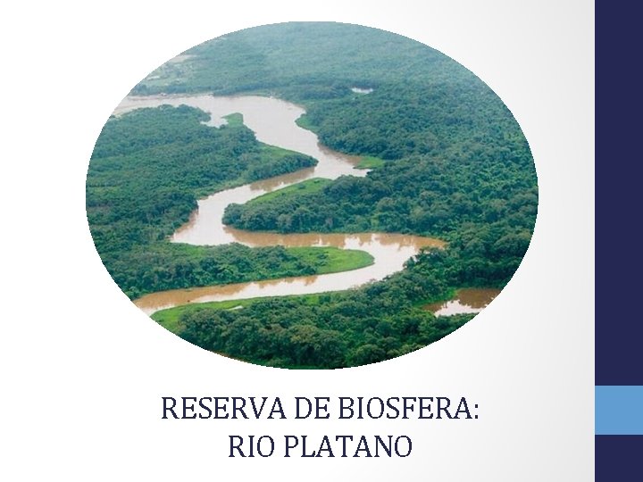 RESERVA DE BIOSFERA: RIO PLATANO 
