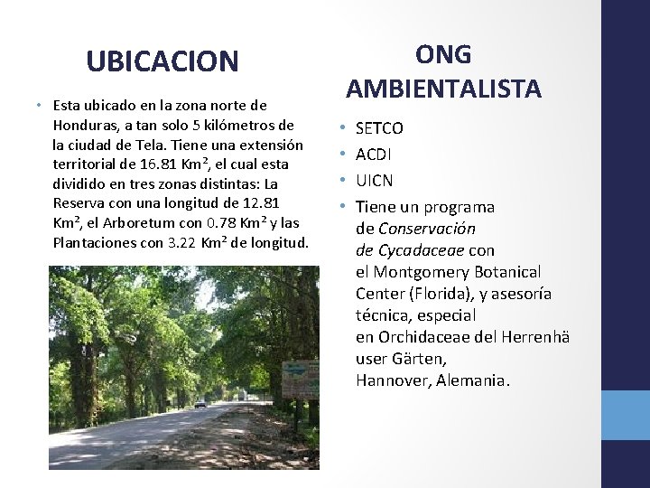 UBICACION • Esta ubicado en la zona norte de Honduras, a tan solo 5