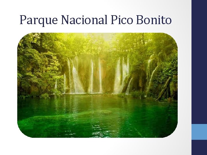 Parque Nacional Pico Bonito 