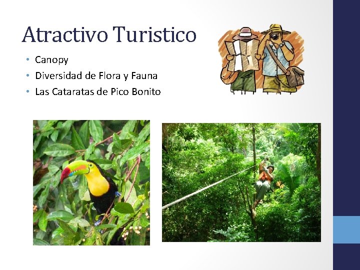 Atractivo Turistico • Canopy • Diversidad de Flora y Fauna • Las Cataratas de