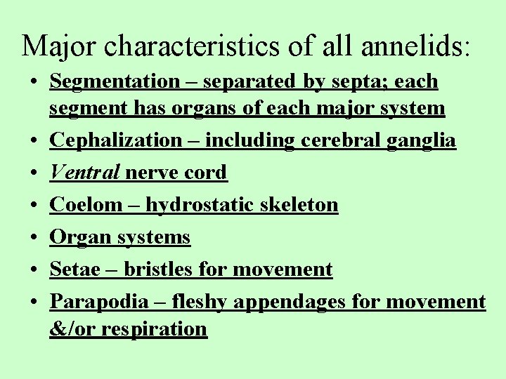 Major characteristics of all annelids: • Segmentation – separated by septa; each segment has