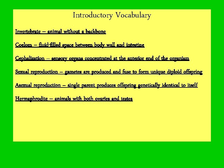 Introductory Vocabulary Invertebrate – animal without a backbone Coelom – fluid-filled space between body