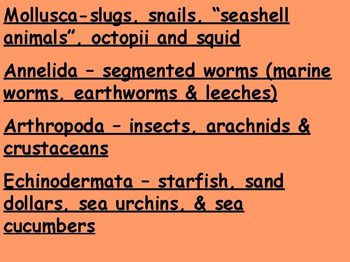 Mollusca-slugs, snails, “seashell animals”, octopii and squid Annelida – segmented worms (marine worms, earthworms