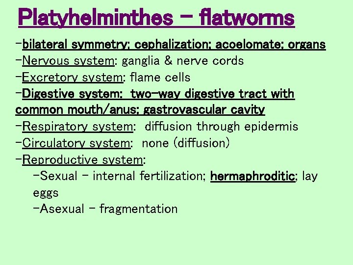 Platyhelminthes - flatworms -bilateral symmetry; cephalization; acoelomate; organs -Nervous system: ganglia & nerve cords