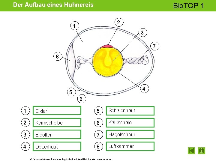 Der Aufbau eines Hühnereis Bio. TOP 1 2 1 3 7 8 4 5