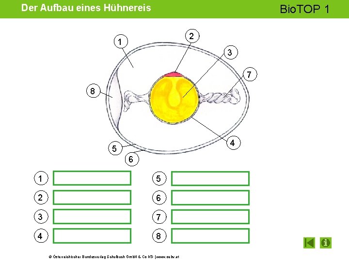 Der Aufbau eines Hühnereis Bio. TOP 1 2 1 3 7 8 4 5