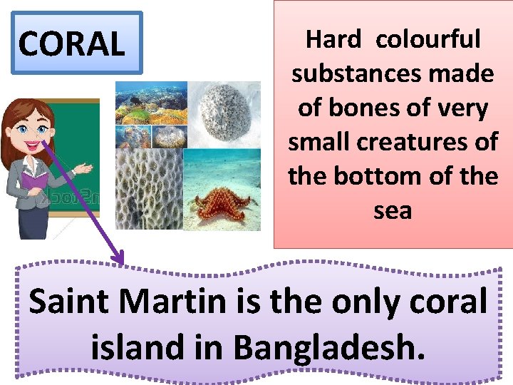 CORAL Hard colourful substances made of bones of very small creatures of the bottom