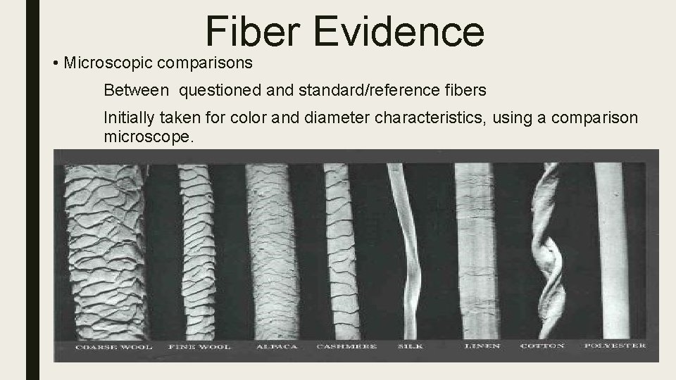 Fiber Evidence • Microscopic comparisons Between questioned and standard/reference fibers Initially taken for color