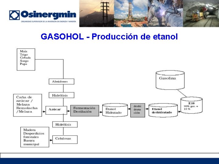 GASOHOL - Producción de etanol 