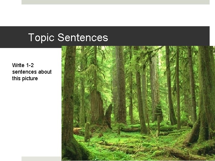 Topic Sentences Write 1 -2 sentences about this picture 