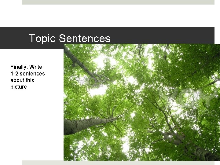 Topic Sentences Finally, Write 1 -2 sentences about this picture 