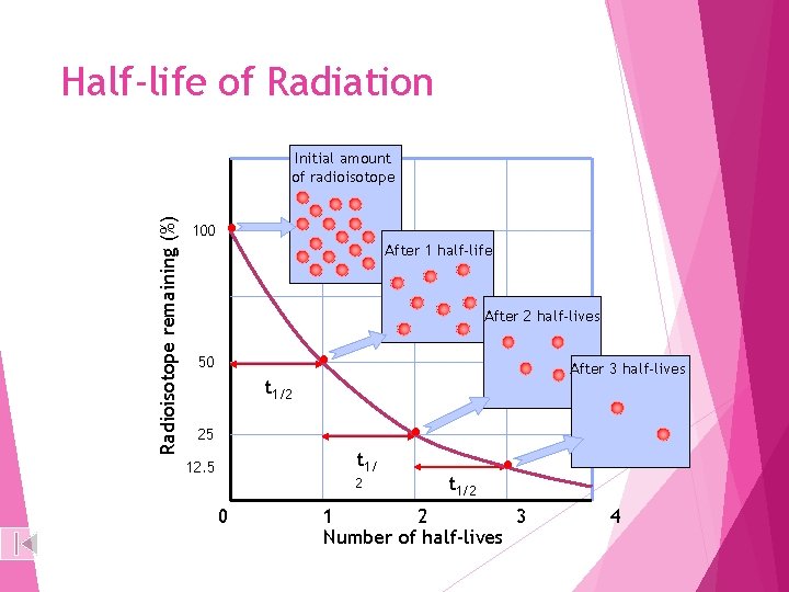 Half-life of Radiation Radioisotope remaining (%) Initial amount of radioisotope 100 After 1 half-life